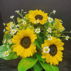 Sunny sunflower