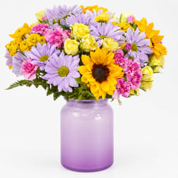 Lavender Sunrise Garden