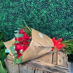 July Rose Special!
