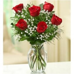 Bouquet of red roses and baby's breath in a clear glass vase