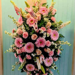 Pink Spray