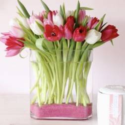 Pink, red, and white tulips in a clear glass vase