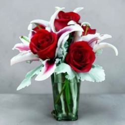 Roses and Stargaziers