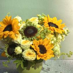 Sunflowers season