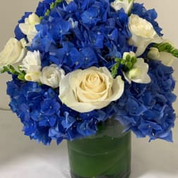 Blue Dutch Supreme & Roses