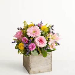 Spring Sentiment
