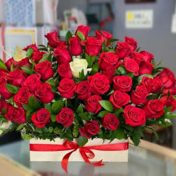 Red roses arranged in a white box with a red ribbon
