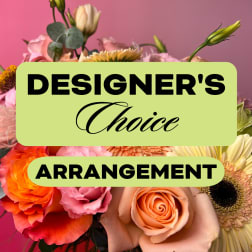 Mixed bouquet with roses, gerbera daisies, and other blooms against a pink background