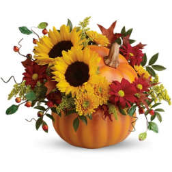 Pumpkin centerpiece with sunflowers and red daisies