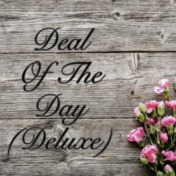 Pink carnations beside the words "Deal Of The Day" on a wood background