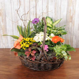 Wicker basket planter with orange and purple daisies, yellow blooms, and assorted plants with an orange ribbon