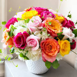 Summer Rose Garden