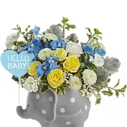 Hello Sweet Baby - Blue