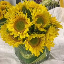 Sunflower arrangement in a square glass vase
