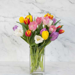 Mixed tulips in pink, yellow, white, red, and purple in a clear glass vase