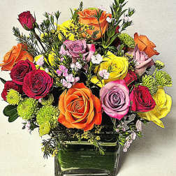 Rainbows and Roses
