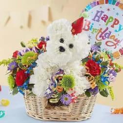 Another Year Rover
