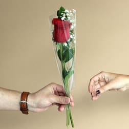 Single red rose in clear plastic wrap being handed over