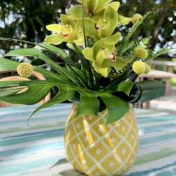 Pineapple Mint