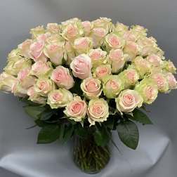 75 light pink roses