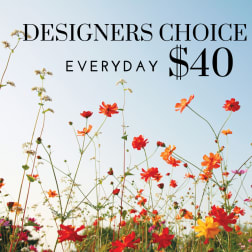Wildflower field with red, orange, pink, and yellow blooms under text reading Designers Choice Everyday $40