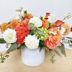 Dahlia Harvest