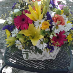 "Just Because" Designer's Choice Monthly Subscription