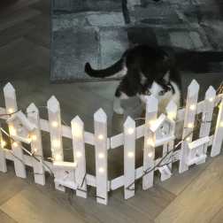 Lighted Garden Fence