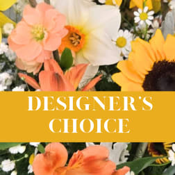 Designer's Choice Any Occasion Arrangement
