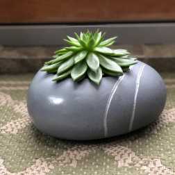 Succulent arrangement in a gray stone container