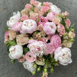 Blush & Bashful