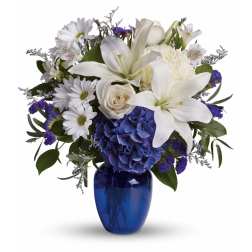 White lilies, daisies, and a blue hydrangea in a cobalt vase