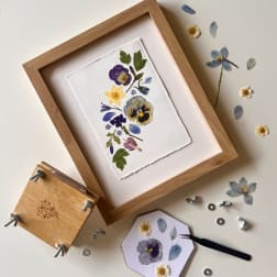 Pressed flowers arranged in a wooden frame with loose petals and tools nearby.