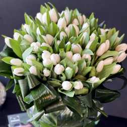 Bouquet of white tulips with broad green leaves in a glass vase