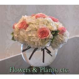 Pink roses and white hydrangeas in a clear glass vase with a black ribbon