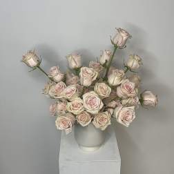 Bouquet of pale pink roses in a white vase