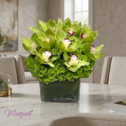 Green orchid and hydrangea arrangement in a square glass vase