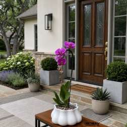 Potted purple orchid on a bench outside a front door