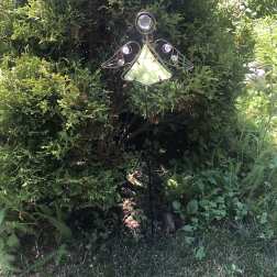 Garden Delight