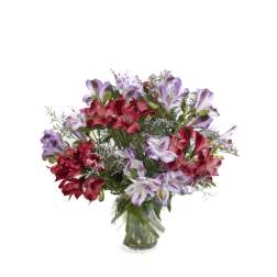 Bouquet of red and lavender alstroemeria in a clear glass vase