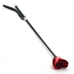 Single red rose with a long black stem on a white background