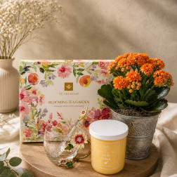 The Cozy Bloom Collection