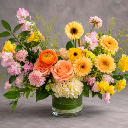 Spring Melody