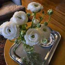 White ranunculus in a glass vase on a silver tray