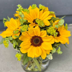 Sunny Sunflowers