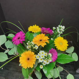 Bouquet of colorful gerbera daisies with small white filler flowers