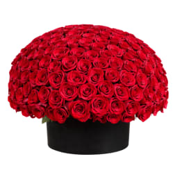 Large dome of red roses in a black round box
