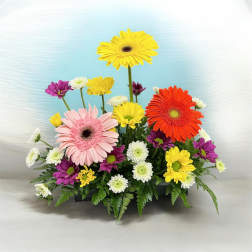Colorful gerbera daisy arrangement in a low rectangular container