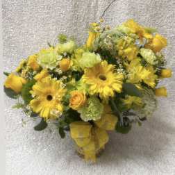 Yellow Queen Bee