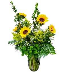 Classical Sunflowers